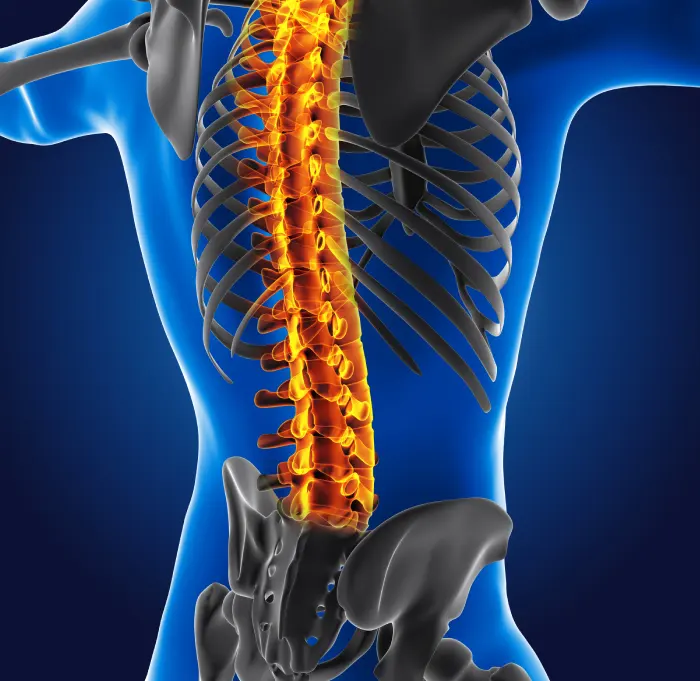 cirugia-de-columna-precios.webp